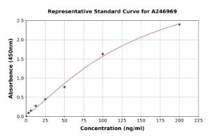 Representative standard curve for Rabbit Ovalbumin IgG ELISA kit (A246969)