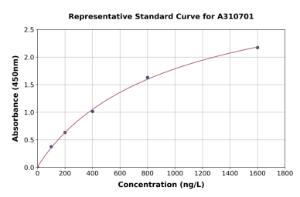 Representative standard curve for Mouse Wnt3a ELISA kit (A310701)