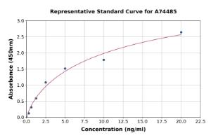 Representative standard curve for Rabbit MMP2 ELISA kit (A74485)