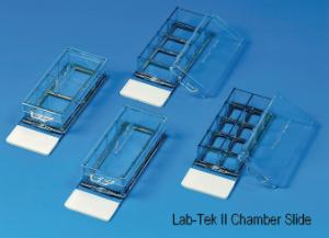 Lab-Tek® II Chamber Slide™ System, Electron Microscopy Sciences