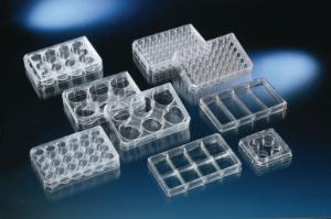 Nunclon™ Multi-Dishes Plates, Electron Microscopy Sciences