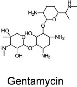 Gentamicin sulfate for tissue culture
