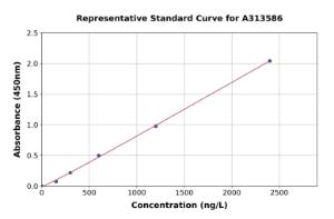 Representative standard curve for human SR1 ELISA kit (A313586)