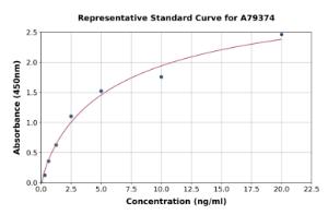 Representative standard curve for Human SERPINE2/PN-1 ELISA kit (A79374)