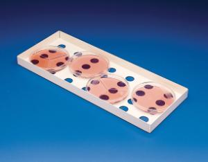 SP Bel-Art Petri Dish Incubation Tray, Bel-Art Products, a part of SP