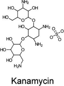 Kanamycin sulfate 50 mg/mL, Ultra Pure Grade
