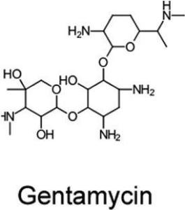 Gentamicin sulfate solution for tissue culture