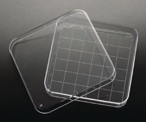 Square Petri Dish, Electron Microscopy Sciences