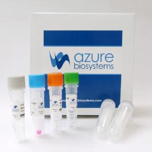 Spectra Antibody Labeling Kit, Azure Biosystems