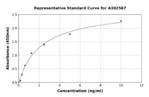 Representative standard curve for Canine Syndecan-1 ELISA kit (A302567)