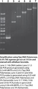 VWR® TAQ DNA Polymerase
