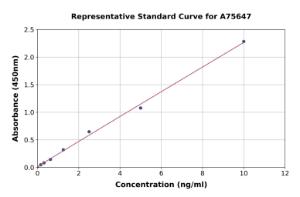 Representative standard curve for Human IKB alpha ELISA kit (A75647)