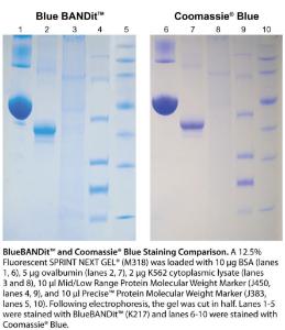VWR® Blue Bandit™ Protein Stain Ultra Pure Grade
