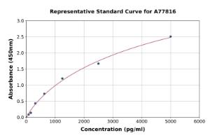 Representative standard curve for Human CCR4 ELISA kit (A77816)