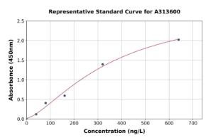 Representative standard curve for human BMP1/PCP ELISA kit (A313600)