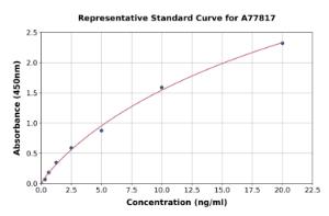 Representative standard curve for Human CCR5 ELISA kit (A77817)