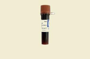 RedSafe Nucleic Acid Staining Solution, Bulldog Bio