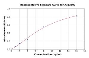 Representative standard curve for human LRP2BP ELISA kit (A313602)