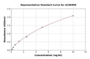 Representative standard curve for Rat GAPDH ELISA kit (A246990)