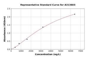 Representative standard curve for mouse Caveolin-1 ELISA kit (A313603)