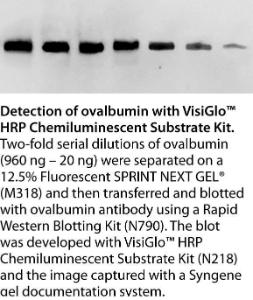 VWR® Visiglo™ & Visiglo Plus™ Chemiluminescent Substrate Kits