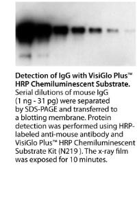 VWR® Visiglo™ & Visiglo Plus™ Chemiluminescent Substrate Kits