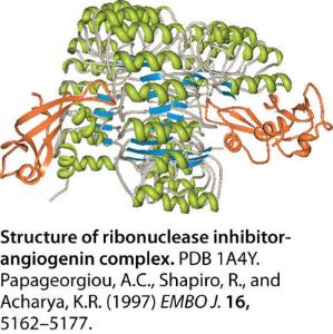 VWR Life Science Ribonuclease Inhibitor (RNase Inhibitor)