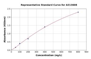 Representative standard curve for mouse IL-19 ELISA kit (A313608)