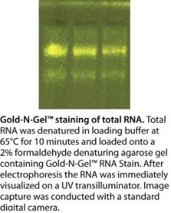 VWR® Gold-N-Gel™ RNA dye 200X, Biotechnology Grade