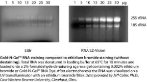 VWR® Gold-N-Gel™ RNA dye 200X, Biotechnology Grade