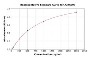 Representative standard curve for Rat ADAMTS5 ELISA kit (A246997)