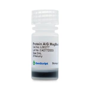 Protein A/G magnetic beads