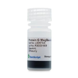 Protein G magnetic beads MX