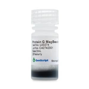 Protein G magnetic beads