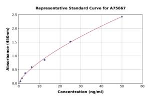 Representative standard curve for Human NRG4 ELISA kit (A75667)