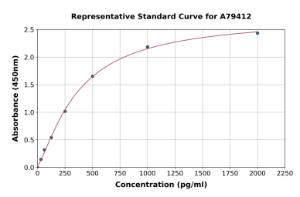 Representative standard curve for Rat GSTT2 ELISA kit (A79412)
