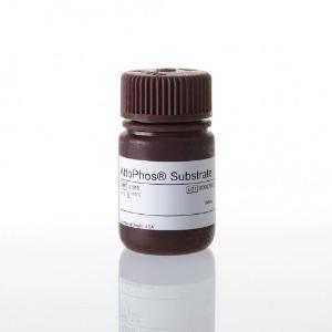 Fluorescent alkaline phosphatase substrate
