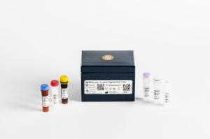 EGFR 6-color crystal digital PCR® kit