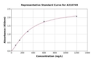 Representative standard curve for Human IFIT2 ELISA kit (A310749)
