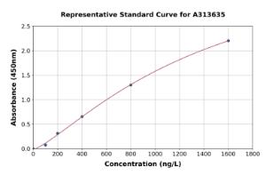 Representative standard curve for human SLCO4C1 ELISA kit (A313635)