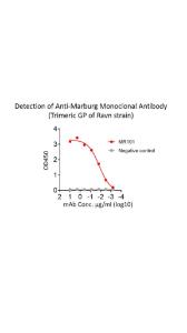 Functional binding test using antibody