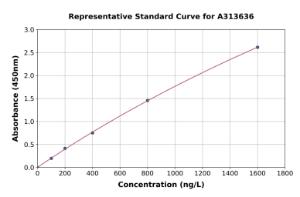 Representative standard curve for human CLIC4 ELISA kit (A313636)