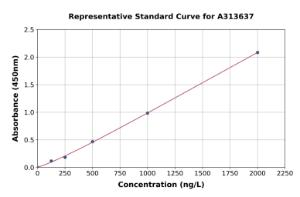 Representative standard curve for human NF2/Merlin ELISA kit (A313637)
