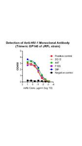 Functional binding test using antibodies to variant of JRFL strain