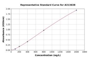 Representative standard curve for human Ninjurin 1 ELISA kit (A313638)