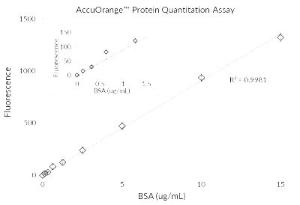 The AccuOrange™ assay has a linear detecting range of 0.1 - 15 µg/ml protein