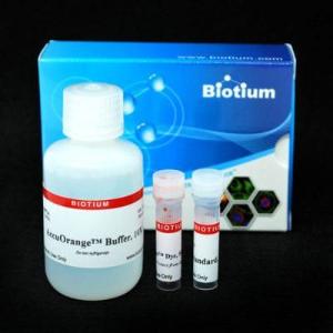 AccuOrange protein quantitation kit