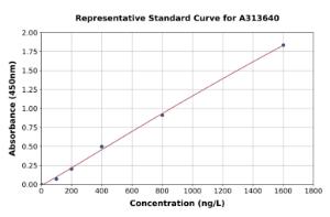 Representative standard curve for human PER2 ELISA kit (A313640)