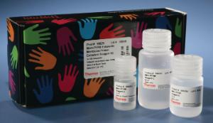 Pierce Mem-PER™, Eukaryotic Membrane Protein Extraction Kit, Thermo Scientific