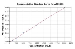 Representative standard curve for human AKAP12 ELISA kit (A313643)